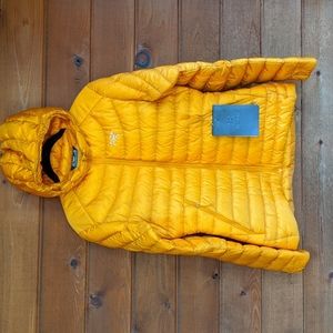 Arc'teryx Women's Cerium LT Hoody in Quantum